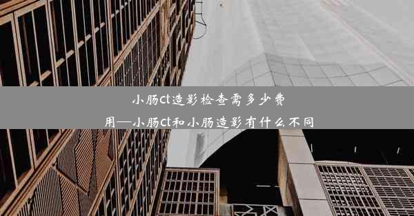 小肠ct造影检查需多少费用—小肠ct和小肠造影有什么不同