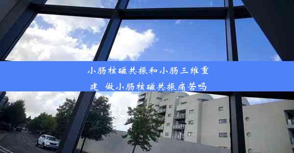 <b>小肠核磁共振和小肠三维重建_做小肠核磁共振痛苦吗</b>