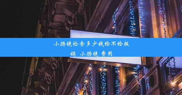 小肠镜检查多少钱给不给报销_小肠镜 费用