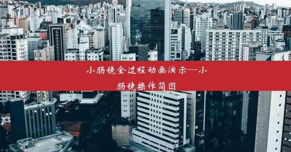 小肠镜全过程动画演示—小肠镜操作简图