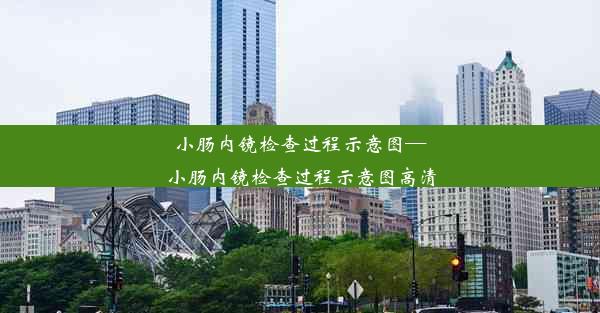 小肠内镜检查过程示意图—小肠内镜检查过程示意图高清