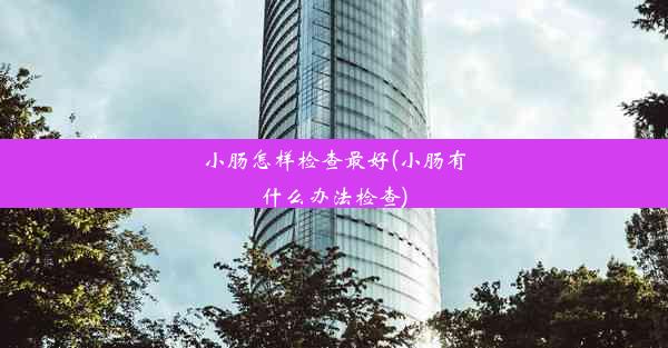 小肠怎样检查最好(小肠有什么办法检查)