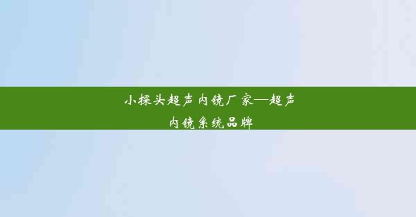 小探头超声内镜厂家—超声内镜系统品牌