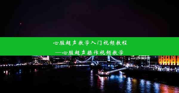 心脏超声教学入门视频教程—心脏超声操作视频教学