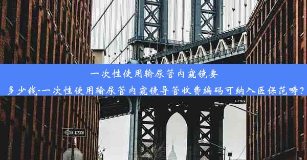 一次性使用输尿管内窥镜要多少钱-一次性使用输尿管内窥镜导管收费编码可纳入医保范畴？