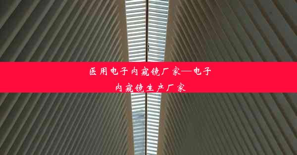 医用电子内窥镜厂家—电子内窥镜生产厂家