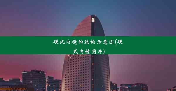 硬式内镜的结构示意图(硬式内镜图片)