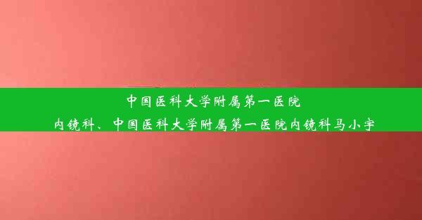 中国医科大学附属第一医院内镜科、中国医科大学附属第一医院内镜科马小宇