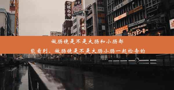 做肠镜是不是大肠和小肠都能看到、做肠镜是不是大肠小肠一起检查的