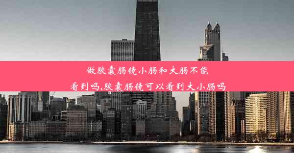 做胶囊肠镜小肠和大肠不能看到吗,胶囊肠镜可以看到大小肠吗