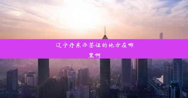 辽宁丹东办签证的地方在哪里啊