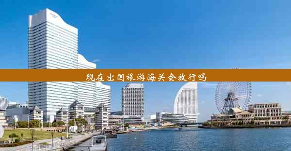 现在出国旅游海关会放行吗