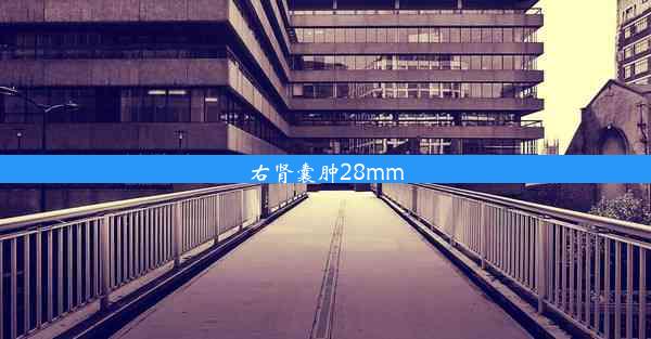 右肾囊肿28mm