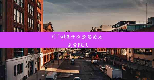 CT sd是什么意思荧光定量PCR