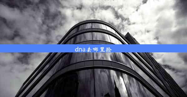 dna去哪里验