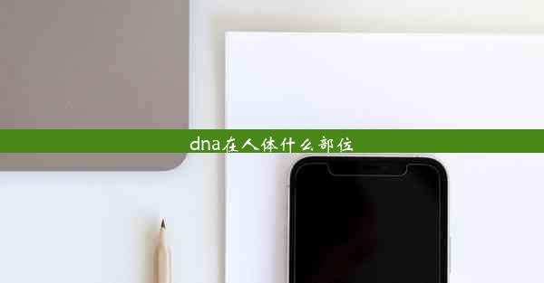 dna在人体什么部位