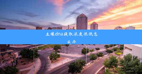 土壤dna提取浓度很低怎么办