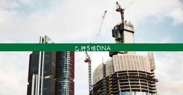 乙肝5项DNA