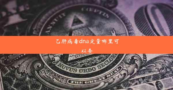 乙肝病毒dna定量哪里可以查