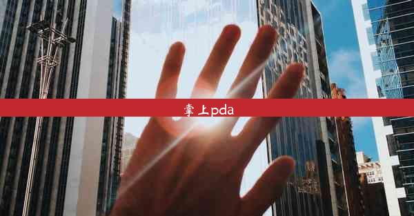 掌上pda