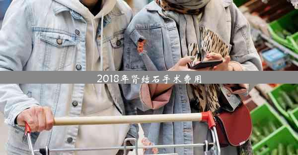 2018年肾结石手术费用