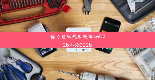 <b>格力踢脚线取暖器x6022b和t6022b</b>