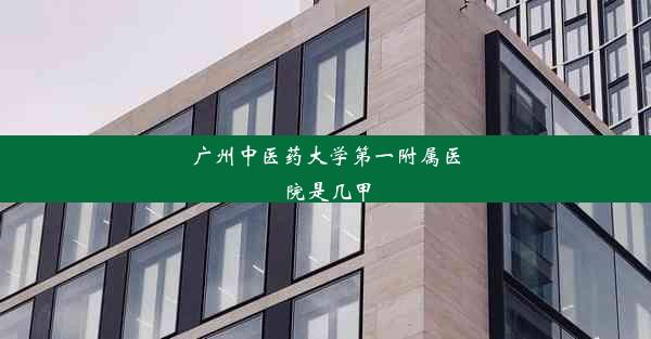 广州中医药大学第一附属医院是几甲