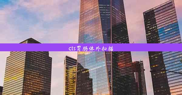 cts胃肠体外扫描