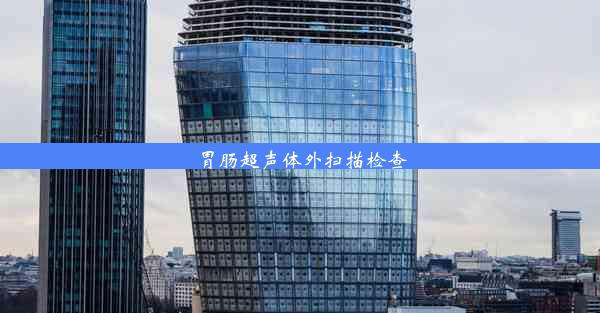 <b>胃肠超声体外扫描检查</b>