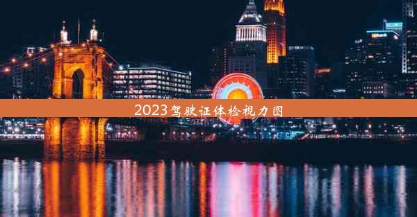 2023驾驶证体检视力图