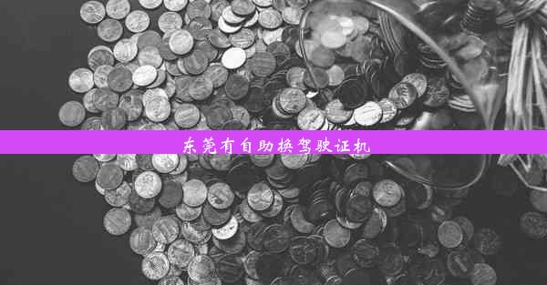 东莞有自助换驾驶证机