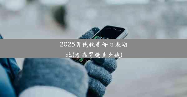 2025胃镜收费价目表湖北(孝感胃镜多少钱)