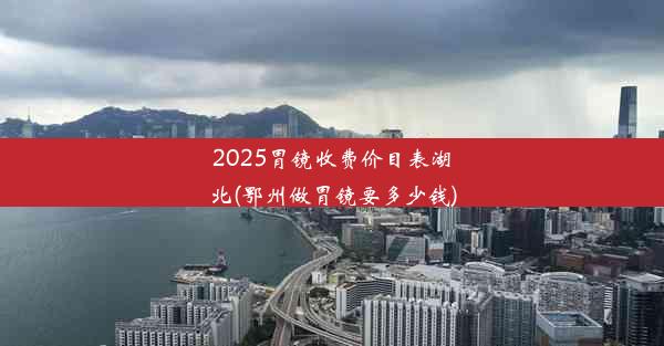 2025胃镜收费价目表湖北(鄂州做胃镜要多少钱)