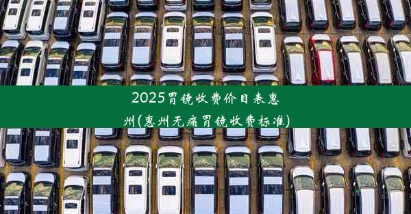 2025胃镜收费价目表惠州(惠州无痛胃镜收费标准)