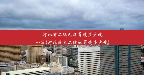 河北省二院无痛胃镜多少钱一次(河北医大二院做胃镜多少钱)