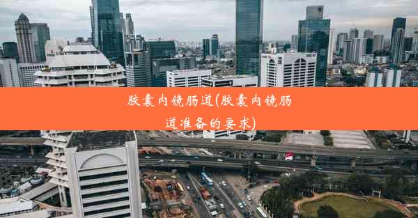 胶囊内镜肠道(胶囊内镜肠道准备的要求)