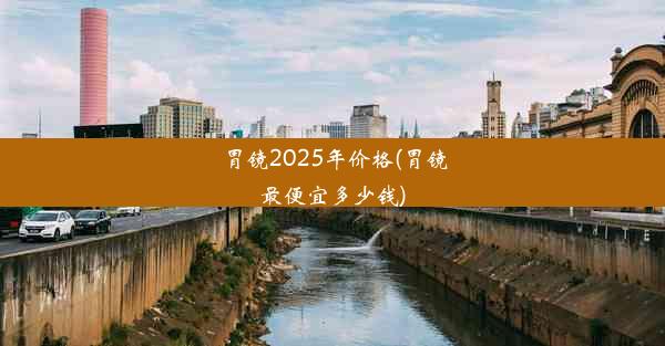 胃镜2025年价格(胃镜最便宜多少钱)