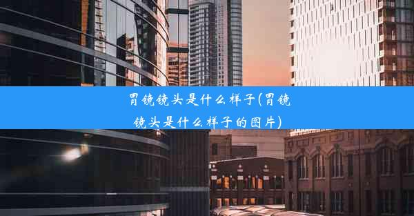 <b>胃镜镜头是什么样子(胃镜镜头是什么样子的图片)</b>