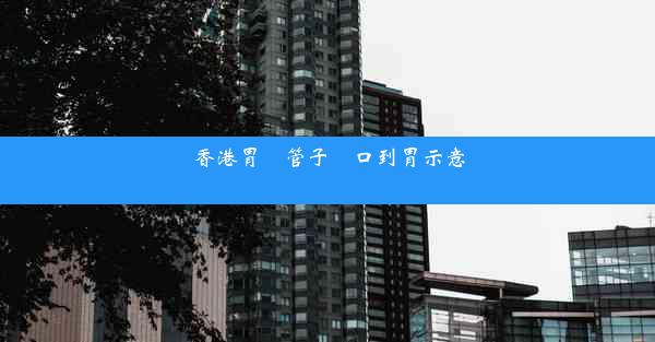 香港胃鏡管子從口到胃示意圖