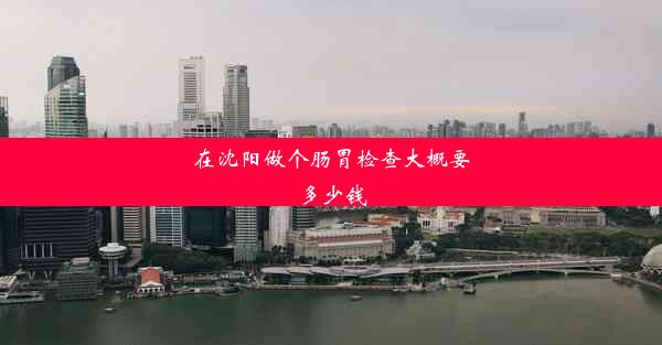 在沈阳做个肠胃检查大概要多少钱