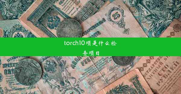 torch10项是什么检查项目