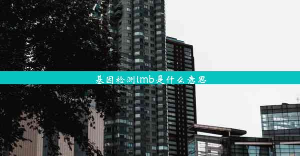 基因检测tmb是什么意思