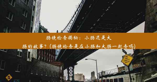 肠镜检查揭秘：小肠还是大肠的故事？(肠镜检查是在小肠和大肠一起查吗)