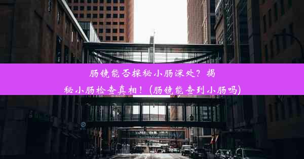 肠镜能否探秘小肠深处？揭秘小肠检查真相！(肠镜能查到小肠吗)