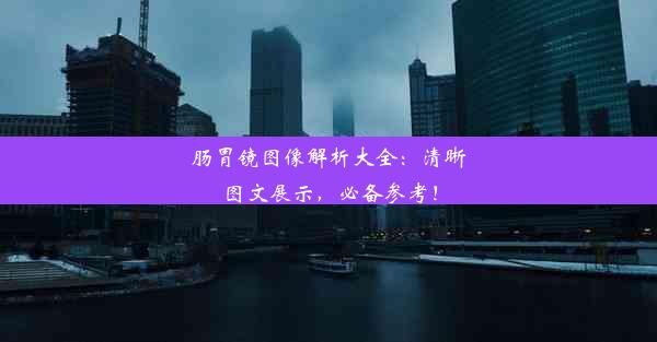 肠胃镜图像解析大全：清晰图文展示，必备参考！