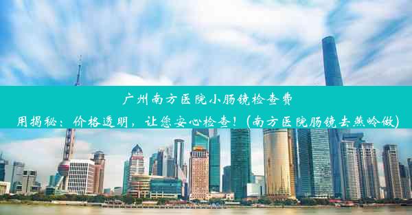 广州南方医院小肠镜检查费用揭秘：价格透明，让您安心检查！(南方医院肠镜去燕岭做)