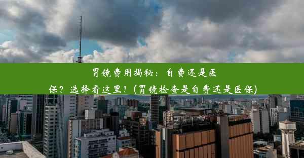 胃镜费用揭秘：自费还是医保？选择看这里！(胃镜检查是自费还是医保)