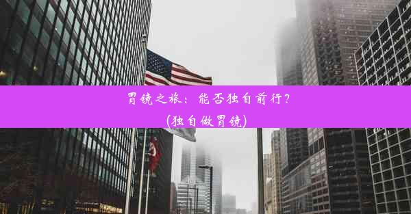 胃镜之旅：能否独自前行？(独自做胃镜)