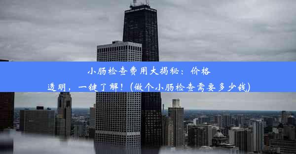 小肠检查费用大揭秘：价格透明，一键了解！(做个小肠检查需要多少钱)