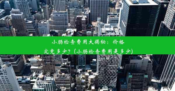 小肠检查费用大揭秘：价格究竟多少？(小肠检查费用是多少)